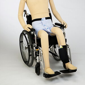 Y jpWA Ԃi[ pi  gC ̔A WA