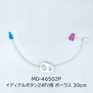 yVKiizIpX h{pڑ`[u CfBA{^p IpX MD-46502Pm24Fr 30cm {[Xpnoh{  ݂낤 ݂낤`[u