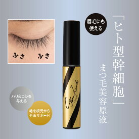 ＼クーポン最大2,000円OFF!!／ 【公式】まつ毛美容液 ステムラッシュ 6ml まつ毛 まつ育 眉毛 美容液 ヒト型細胞 目元 アイラッシュ ラッシュセラム ヒト型幹細胞 まつ毛ケア まつエク エクステ