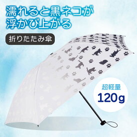＼クーポン最大2,000円OFF!!／ 黒ネコ 折りたたみ傘 軽量 雨傘 コンパクト 持ち運び 猫 かわいい 色が変わる プレゼント お出かけ ギフト │ 黒ネコの折りたたみ傘エアライト