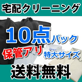 【保管付き】宅配クリーニング　詰め放題10点『雅』【送料無料】[詰め放題 入れ放題]