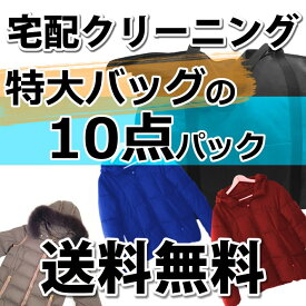 【送料無料】宅配クリーニング「特大バッグ」の詰め放題10点 バッグサイズにご注目！！[詰め放題 入れ放題]