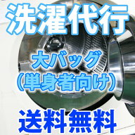 【詰め放題】洗濯代行サービス　大バッグ（通常単身サイズ）【送料無料】カッターシャツ2枚クリーニング…