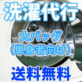 【詰め放題】洗濯代行サービス　大バッグ（通常単身サイズ）【送料無料】カッターシャツ2枚クリーニング【選べる洗剤】