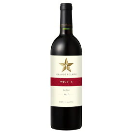 サッポロ グランポレール　スタンダードシリーズ(Grande Polaire) 甲斐ノワール 赤ワイン 750ml×1本 ワイン