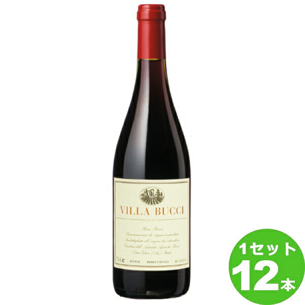ヴィッラ・ブッチ・“ヴィッラ・ブッチ”ロッソ・ピチェーノVilla Bucci Rosso Piceno  750ml ×12本 イタリア / ITALIAマルケ / MARCHE 日欧商事 ワイン【
