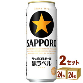 サッポロ 生ビール黒ラベル 500ml×24本×2ケース ビール【送料無料※一部地域は除く】