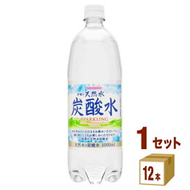 サンガリア 伊賀の天然水炭酸水 ペットボトル 【1L】 1000ml ×12本（1ケース） 飲料 炭酸水 スパークリング【送料無料※一部地域は除く】