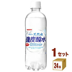 日本サンガリア 伊賀の天然水 強炭酸水 500 ml×24本×1ケース (24本) 飲料【送料無料※一部地域は除く】