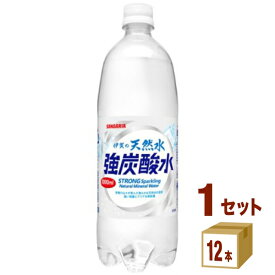 サンガリア 伊賀の天然水 強炭酸水 1000ml（1L）×12本×1ケース（12本） 飲料【送料無料※一部地域は除く】伊賀 強炭酸水 1L 1L 天然水 12本 tok