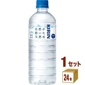 L RVR 600ml×24{×1P[X (24{)yꕔn͏z VR