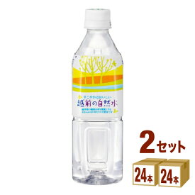 ハイピ－ス（盛田） 越前の自然水 500 ml×24本×2ケース (48本) 飲料【送料無料※一部地域は除く】