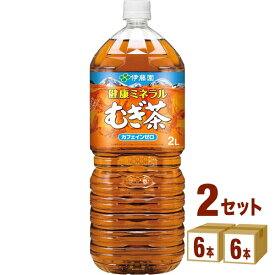 【特売】伊藤園 健康ミネラルむぎ茶 2L ペットボトル 2000ml×6本×2ケース (12本)【送料無料※一部地域は除く】 麦茶 飲料 大容量 熱中症対策 お茶