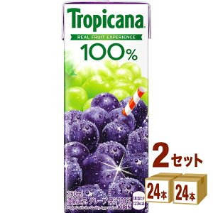 L gsJ[i 100 O[v (LLX) 250ml×24{×2P[X (48{) yꕔn͏z