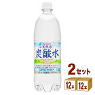 【2CS】サンガリア伊賀の天然水炭酸水ペット炭酸水 1l(1000ml)×24本　　日本サンガリア