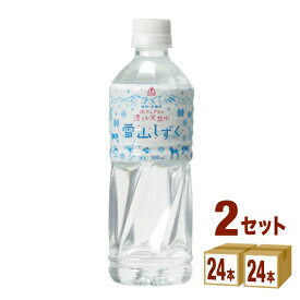 ゴールドパック 北アルプスの清らか天然水 雪山しずく 500ml×24本×2ケース (48本) 飲料【送料無料※一部地域は除く】