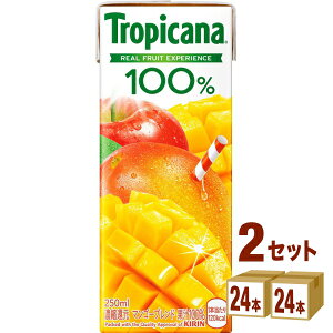 L gsJ[i 100 }S[uh (LLX) 250ml×24{×2P[X (48{) yꕔn͏z