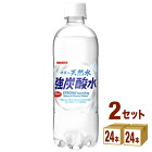 炭酸水 日本サンガリア 伊賀の天然水　強炭酸水 500ml×24本×2ケース (48本) 飲料【送料無料※一部地域は除く】