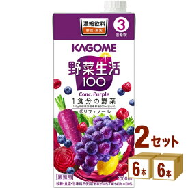 カゴメ 野菜生活100パープル（3倍濃縮） 1000ml×6本×2ケース (12本) 飲料【送料無料※一部地域は除く】