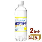 サンガリア 伊賀の天然水 強炭酸水 レモン 500ml×24本×2ケース (48本) 飲料【送料無料※一部地域は除く】