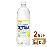 サンガリア 伊賀の天然水 強炭酸水 レモン 1000ml×12本×2ケース（24本） 飲料【送料無料※一部地域は除…