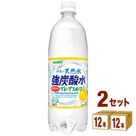 【賞味期限2024年6月11日】日本サンガリア 伊賀の天然水強炭酸水 グレープフルーツ 1000ml×12本×2ケース (24本) 飲料【送料無料※一部地域は除く】