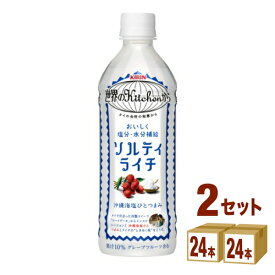 【特売】キリン 世界のKitchenから ソルティライチ 500 ml×24 本×2ケース (48本) 飲料【送料無料※一部地域は除く】【熱中症対策】賞味期限2024年12月