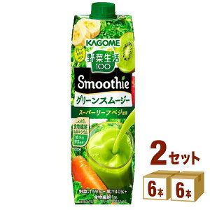 JS ؐ100 Smoothie X[W[ O[X[W[ O[LECMix 1000ml×6{×2P[X (12{) yꕔn͏z  r^~