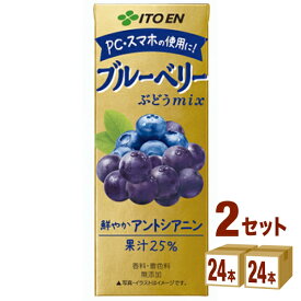 伊藤園 ブルーベリーmix 紙パック 200ml×24本×2ケース (48本) 飲料【送料無料※一部地域は除く】