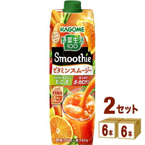JS ؐ100 Smoothie X[W[ r^~X[W[ IW&LbgMix 1000g×6{×2P[X (12{) yꕔn͏z