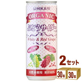 光食品 ヒカリ オーガニック ぶどうサイダー＋レモン プラスレモン ノンアルコール 250ml×30本×2ケース (60本)【送料無料※一部地域は除く】有機