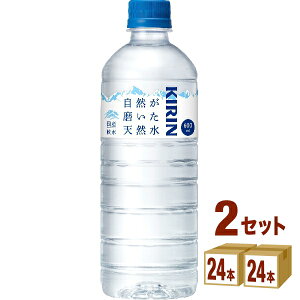L RVR 600ml×24{×2P[X (48{)yꕔn͏z  VR