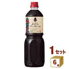 内堀醸造 フルーツビネガー ぶどうとブルーベリーの酢 1000ml×6本 飲料【送料無料※一部地域は除く】