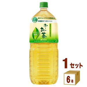 伊藤園 お〜いお茶 カテキン緑茶 特定保健用食品 2000ml×6本×1ケース (6本)【送料無料※一部地域は除く】 緑茶 カテキン おーいお茶 コレステロール 体脂肪