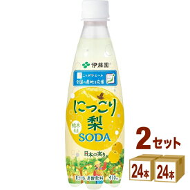 賞味期限2025年12月10日 伊藤園 ニッポンエール 栃木県産にっこり梨ソーダ 410ml×24本×2ケース (48本)【送料無料※一部地域は除く】