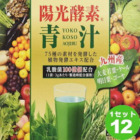 新日配薬品 陽光酵素青汁 乳酸菌入り（3g×30袋） ×12箱 食品 青汁