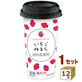 北海道乳業 いちごみるく 200g×12本 食品【送料無料※一部地域は除く】【チルドセンターより直送・同梱不可】【日付指定不可】