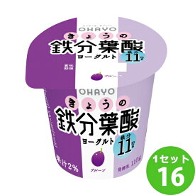 オハヨー乳業チルド きょうの鉄分葉酸ヨーグルト 110g×16個 食品【送料無料※一部地域は除く】【チルドセンターより直送・同梱不可】【日付指定不可】