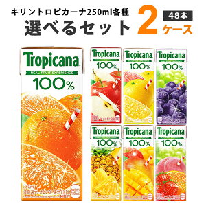 L Iׂ2P[Xi48{jgsJ[i100 250ml (24{×2P[X) IWiyꕔn͏z W[X pbN