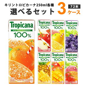 L Iׂ3P[Xi72{jgsJ[i100 250ml (24{×3P[X) IWiyꕔn͏z