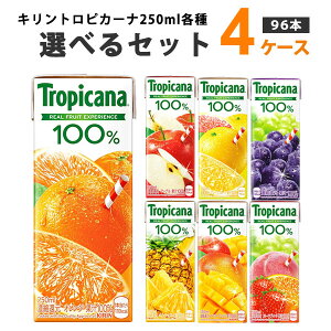 L Iׂ4P[Xi96{jgsJ[i100 250ml (24{×4P[X) IWiyꕔn͏z