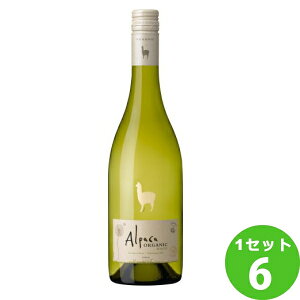 アルパカ 白ワインの人気商品 通販 価格比較 価格 Com