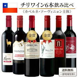 ワインセット 赤 チリワイン（カベルネソーヴィニヨン主体） 飲み比べ 6本セット【送料無料※一部地域は除く】