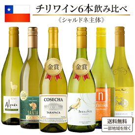 ワインセット 白 チリワイン（シャルドネ主体）飲み比べ 6本セット wine set【送料無料※一部地域は除く】 白ワイン コスパ 金賞