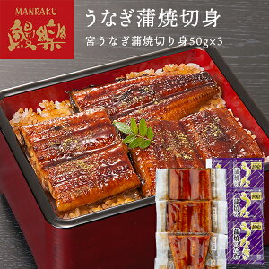 Y { Vy ȂĐؐg Mtgy[J[蒼EszYȂ Ă EiM j oYj aj   j  Ε v[g O 