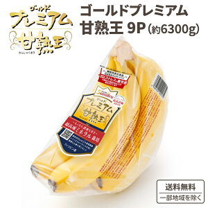 X~t S[hv~A Ïn oii 1ܖ700g×9܁iv6300 gj×1yꕔn͏zF ʕ n͔| tBsY ΂Ȃ oiiW[X X|[c w 