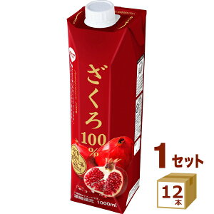 �߂��炭 ������ 100�� �p�b�N 1000ml×12�{ �X�W���[�^ ���É������i�`���h�j �����y�����������ꕔ�n��͏����z�y�`���h�Z���^�[��蒼���E�����s�z�y���t�w��s�z �U�N�� ������W���[