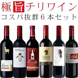 【ソムリエが選んだ】 ワインセット 赤 チリワイン（カベルネソーヴィニヨン主体） 飲み比べ 6本セット【送料無料※一部地域は除く】 福袋