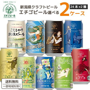 Iׂ2P[X G`Sr[ Ntgr[ ݔ 350ml×24{×2P[X (48{)yꕔn͏z ǂ Y r[ sXi[ v~AbhG[ GKguh