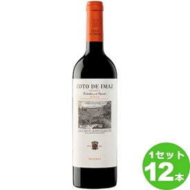 コト デ イマズ レセルヴァCOTO DE IMAZ RESERVA 赤ワイン スペイン リオハ 750ml ×12本 ワイン【送料無料※一部地域は除く】